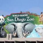 San Diego Zoo