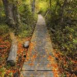 Retzer Nature Center