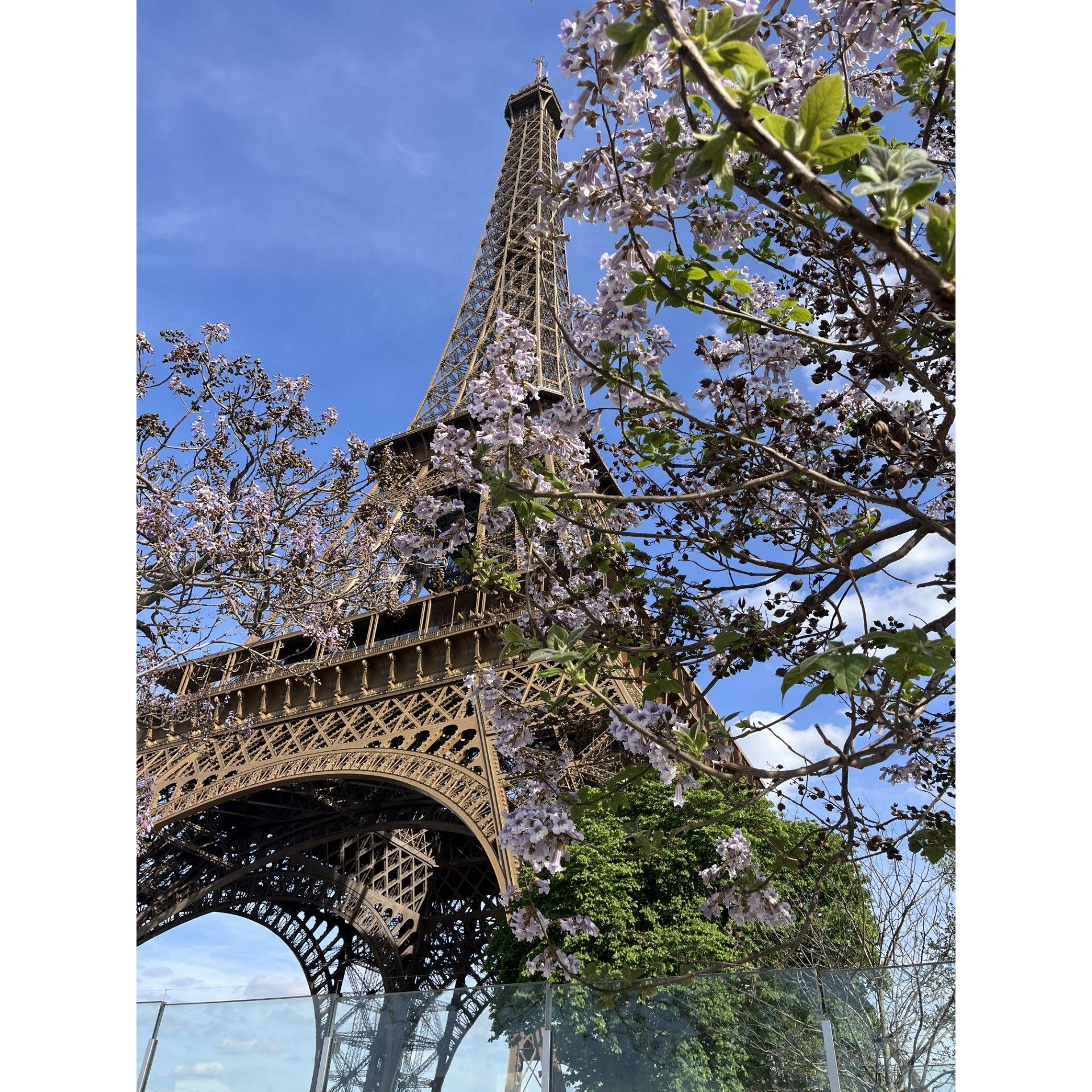 The Eiffel Tower!