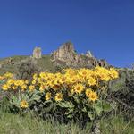 Saddle Rock Trailhead
