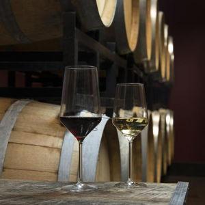 Schott Zwiesel Pure Bordeaux Glasses - Set of 6