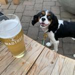 MadTree Brewing