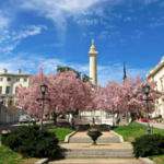 Mount Vernon