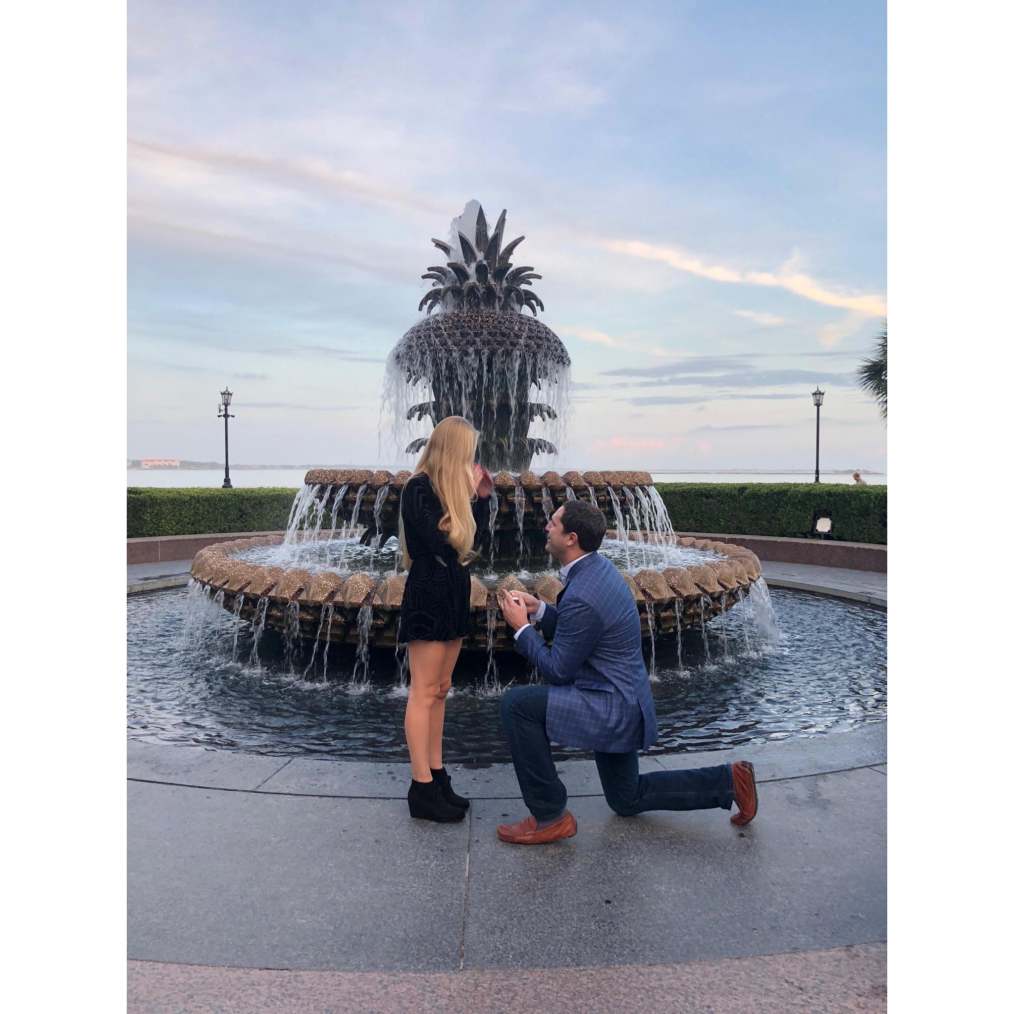 The proposal, November 9, 2018