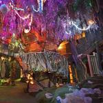 Meow Wolf