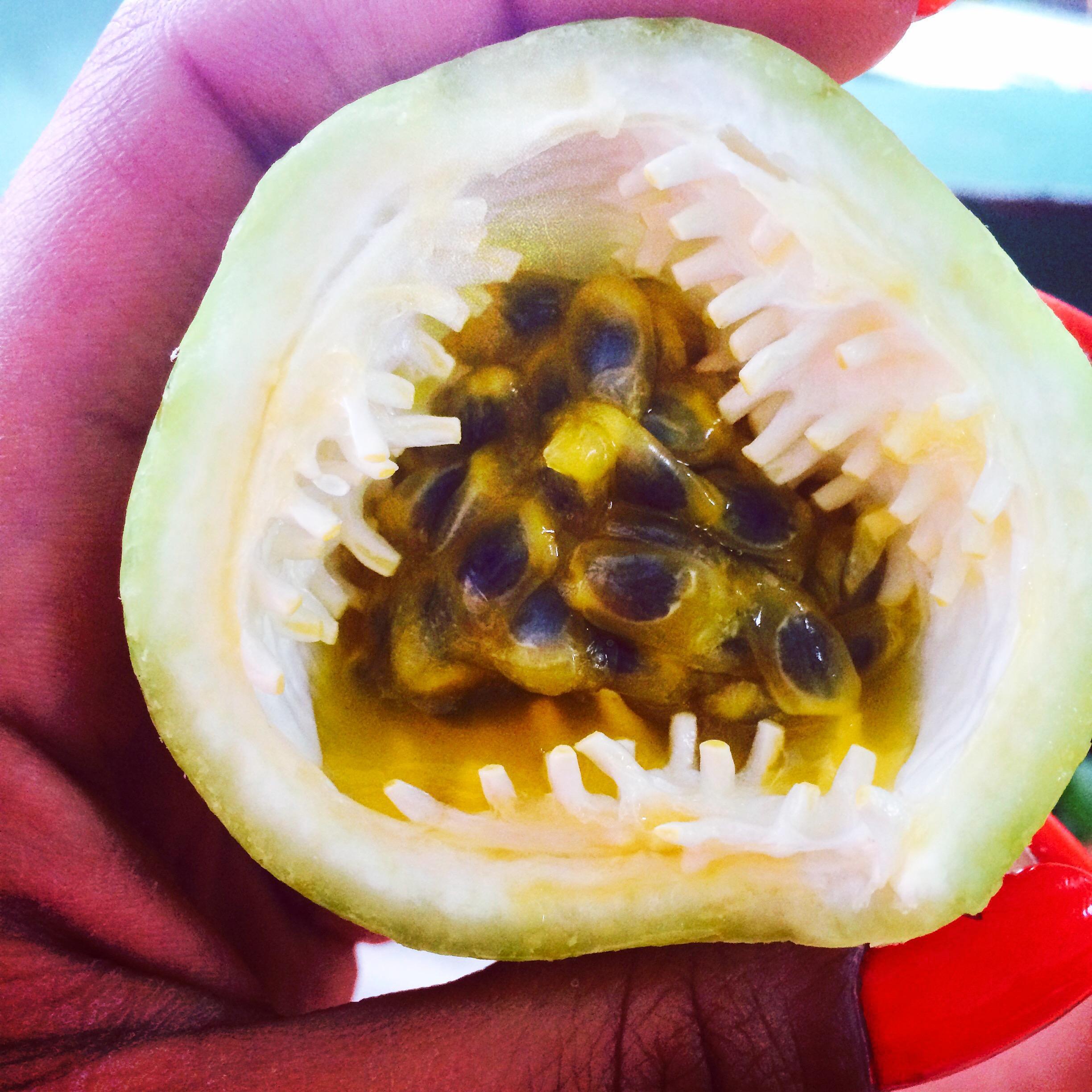When we met the King of Fruits carrying a black plastic bag and he opened it to have only passionfruit... but luckily my favorite fruits!