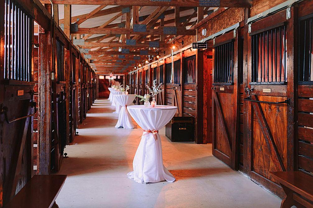 The Wedding Website of Christy Condon and Anthony Giannini
