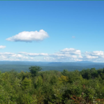 Putney Mountain Pinnacle Trailhead