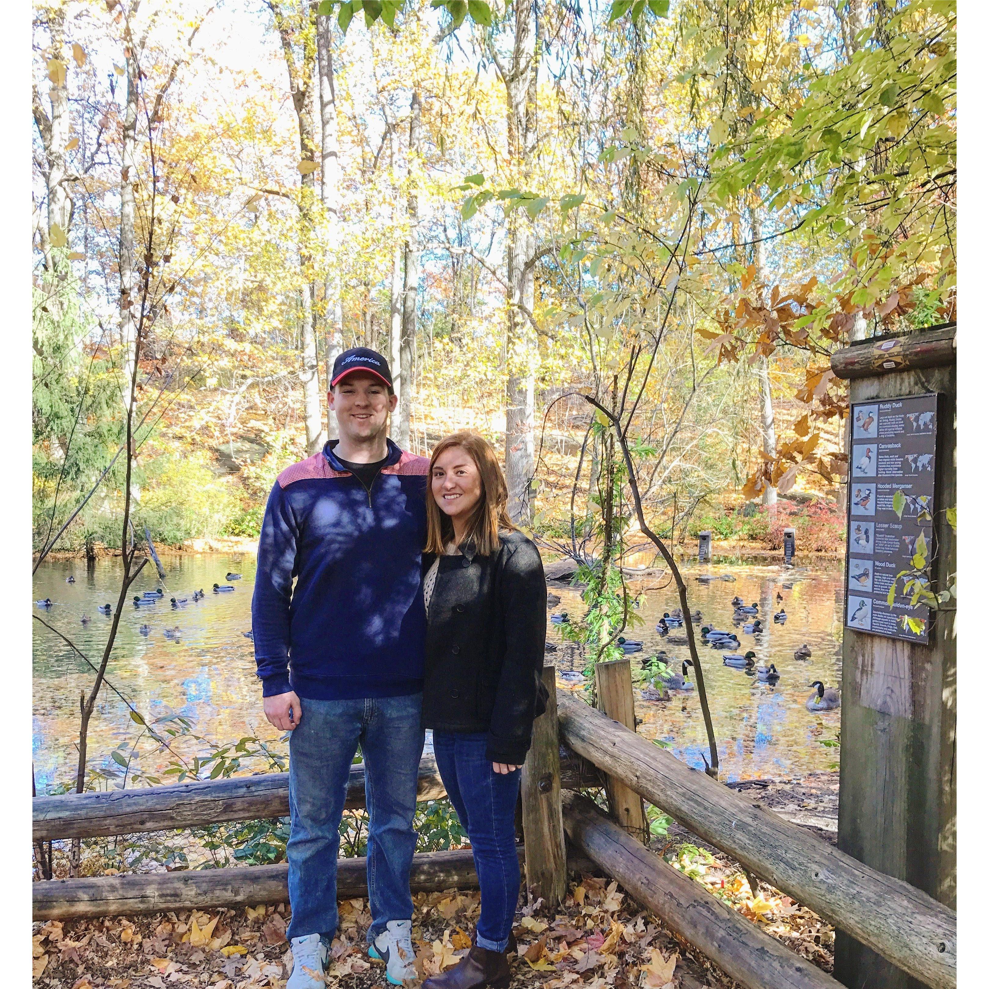 The Bronx Zoo