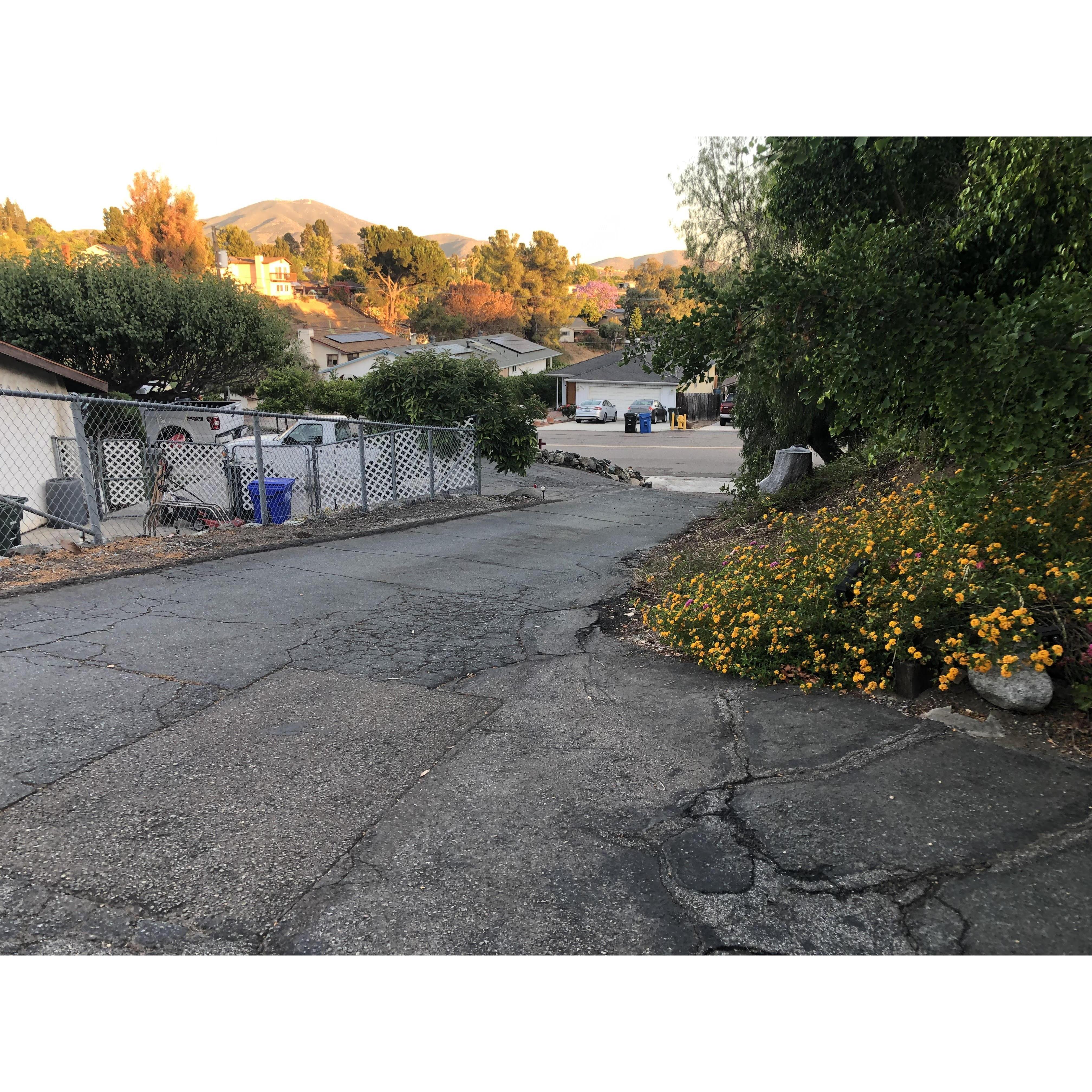 Driveway/walkway entrance to ceremony and reception venue. If this walkway is not accessible to you, please let us know! We will provide accommodations. *parking only available at street level.