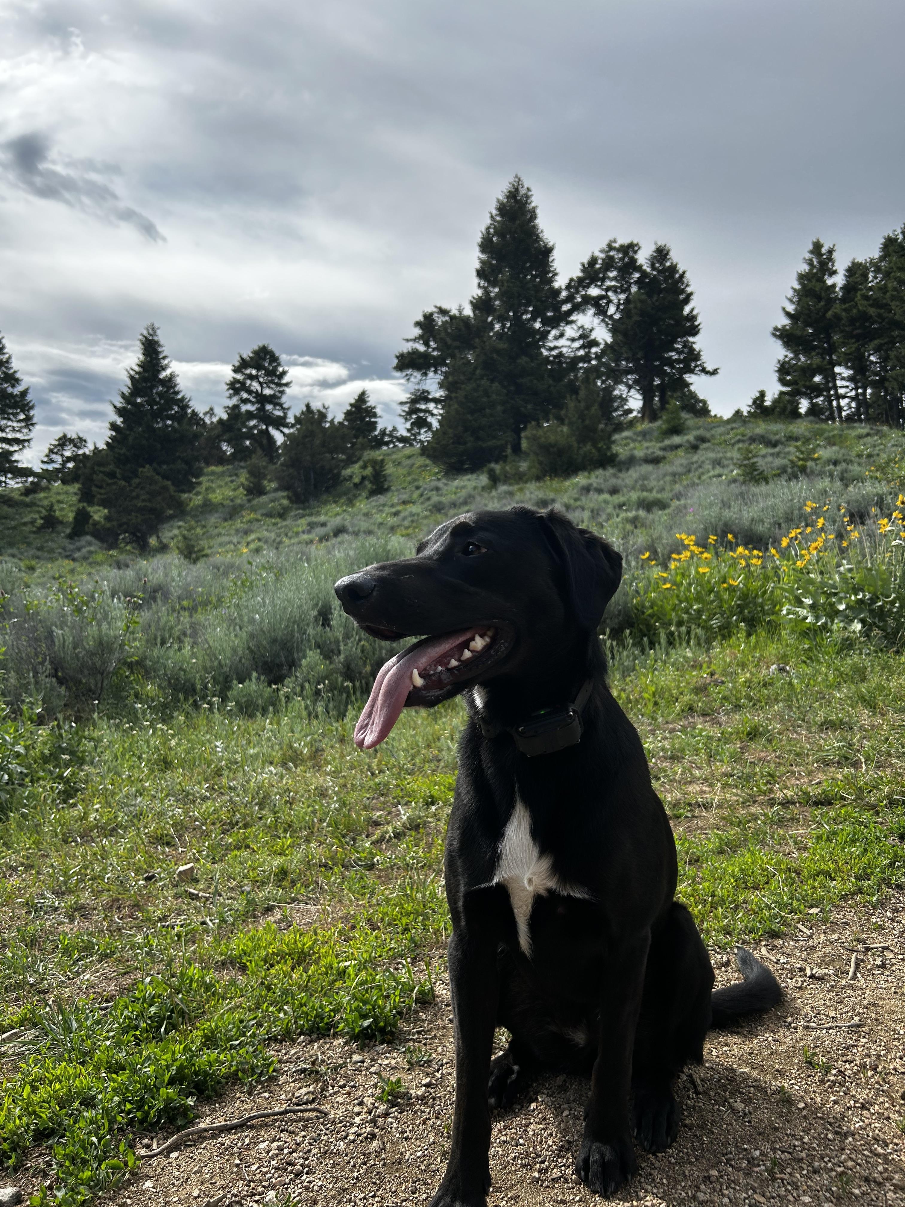 The Wedding Website of Emma Stein and Andrew Thorson