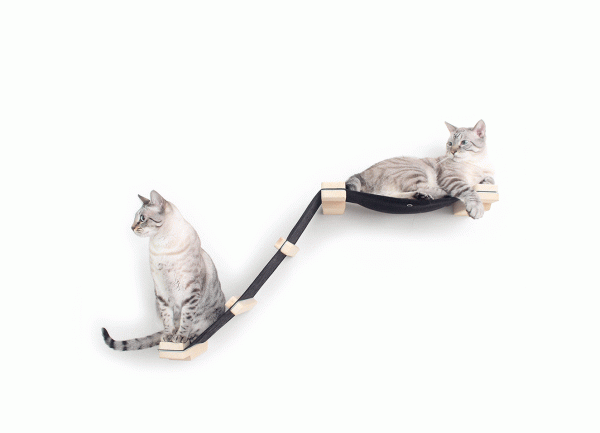 Cat Mod – Lift
