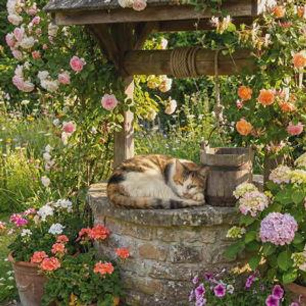 Wedding Wishing Well