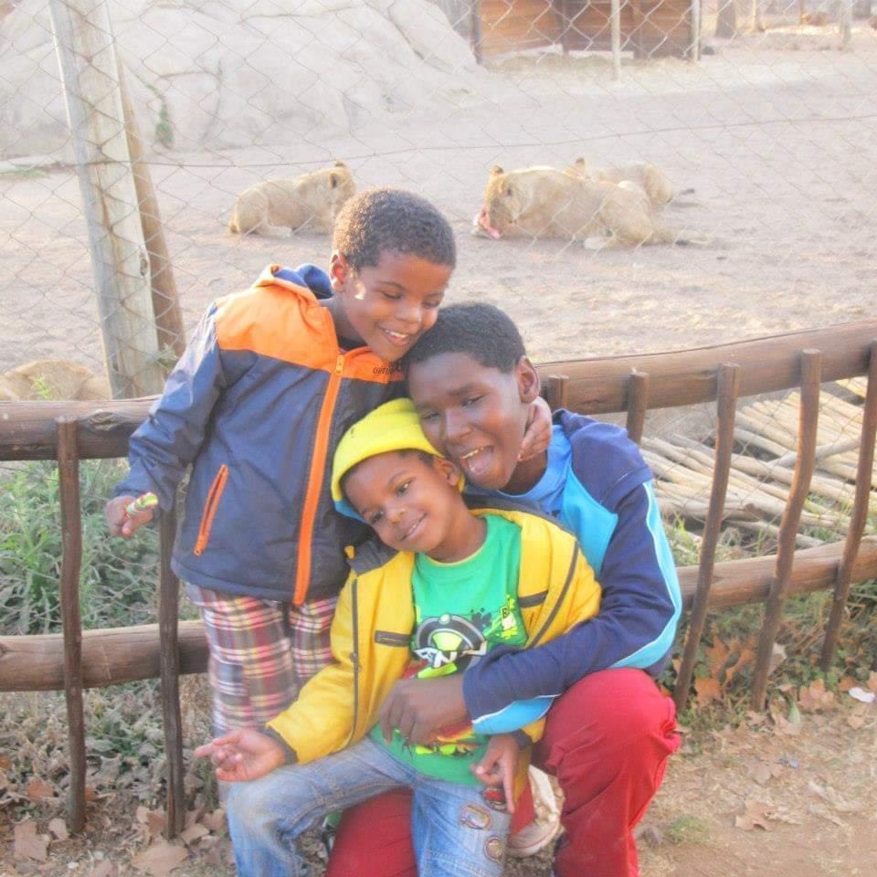 Elysée, Willo, Melmel lors d'une visite du Parc à Lion à Johannesbourg, Août 2012