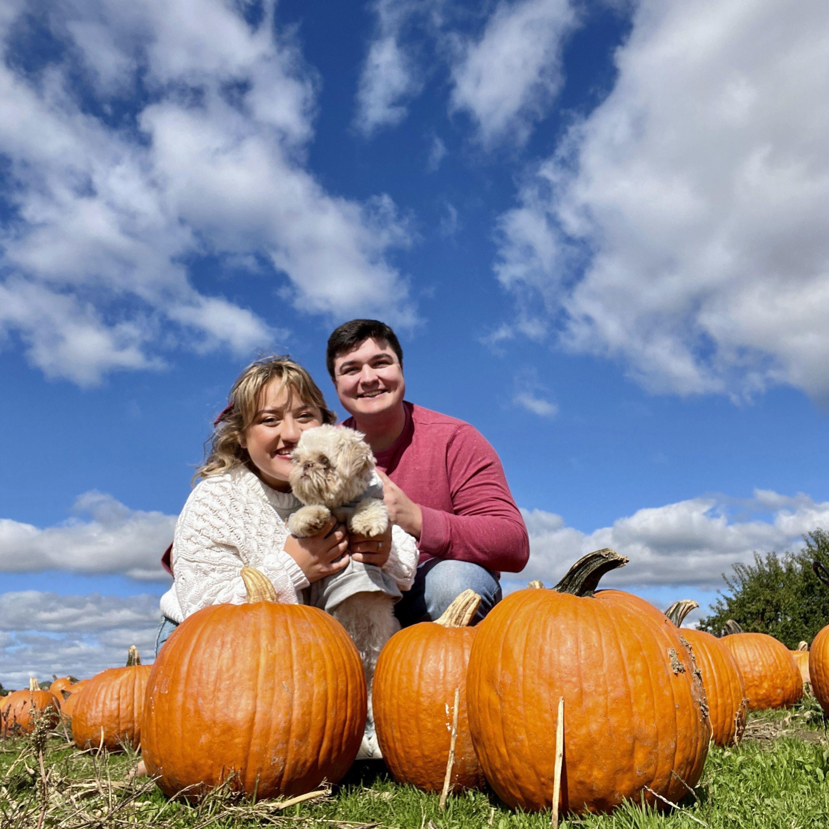 Barton Orchards in the Autumn