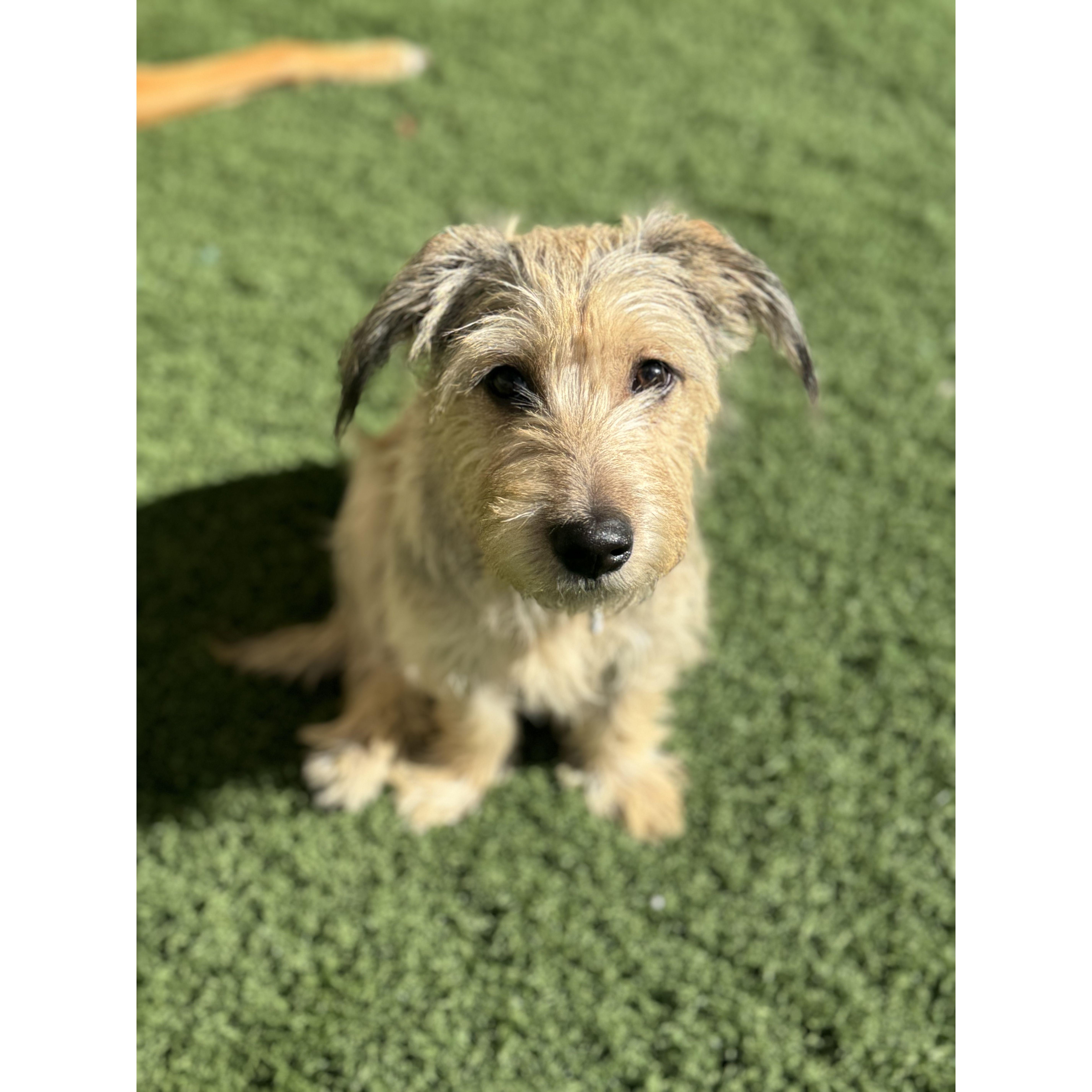 Our little family is growing