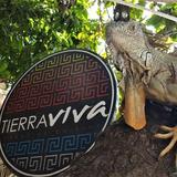 Tierra Viva Restaurant y Bar