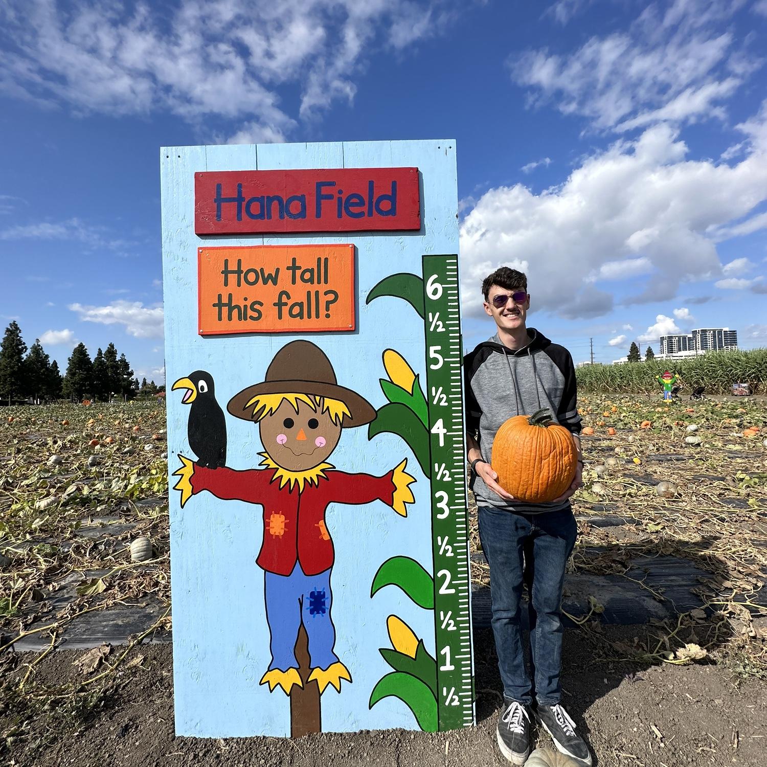 My pumpkin(s)