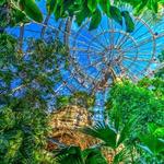 Houston Museum of Natural Science