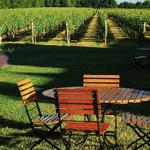 Long Island Wine Country (North Fork)