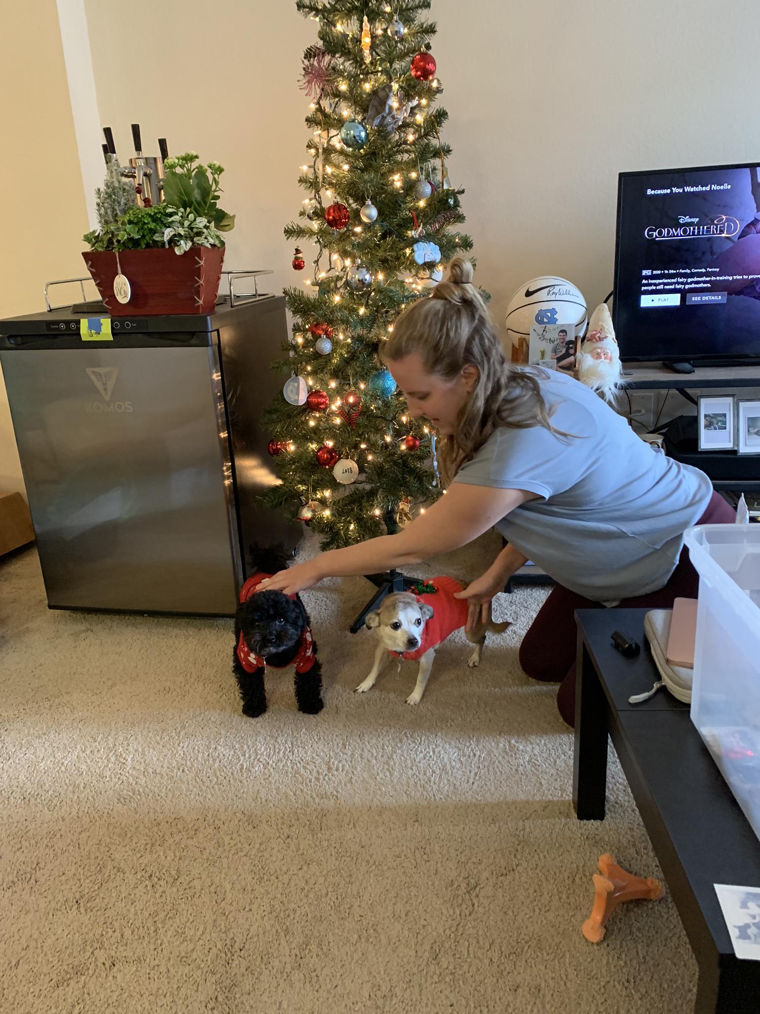 Herding Christmas cats