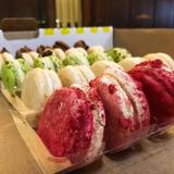 Colette Bakery