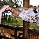 Birmingham Zoo