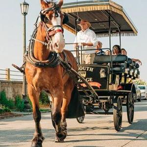 Paseo en carruaje - luna de miel