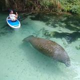 Oleta River State Park