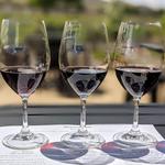 Wine Tasting in The Valley