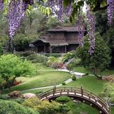 The Huntington Library, Art Museum, and Botanical Gardens