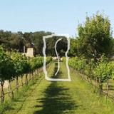 Solaro Estate Winery