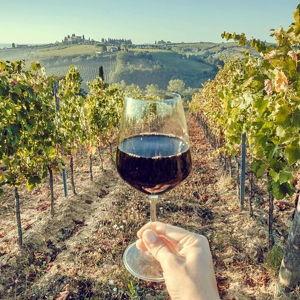 Wine tasting in the tuscan countryside