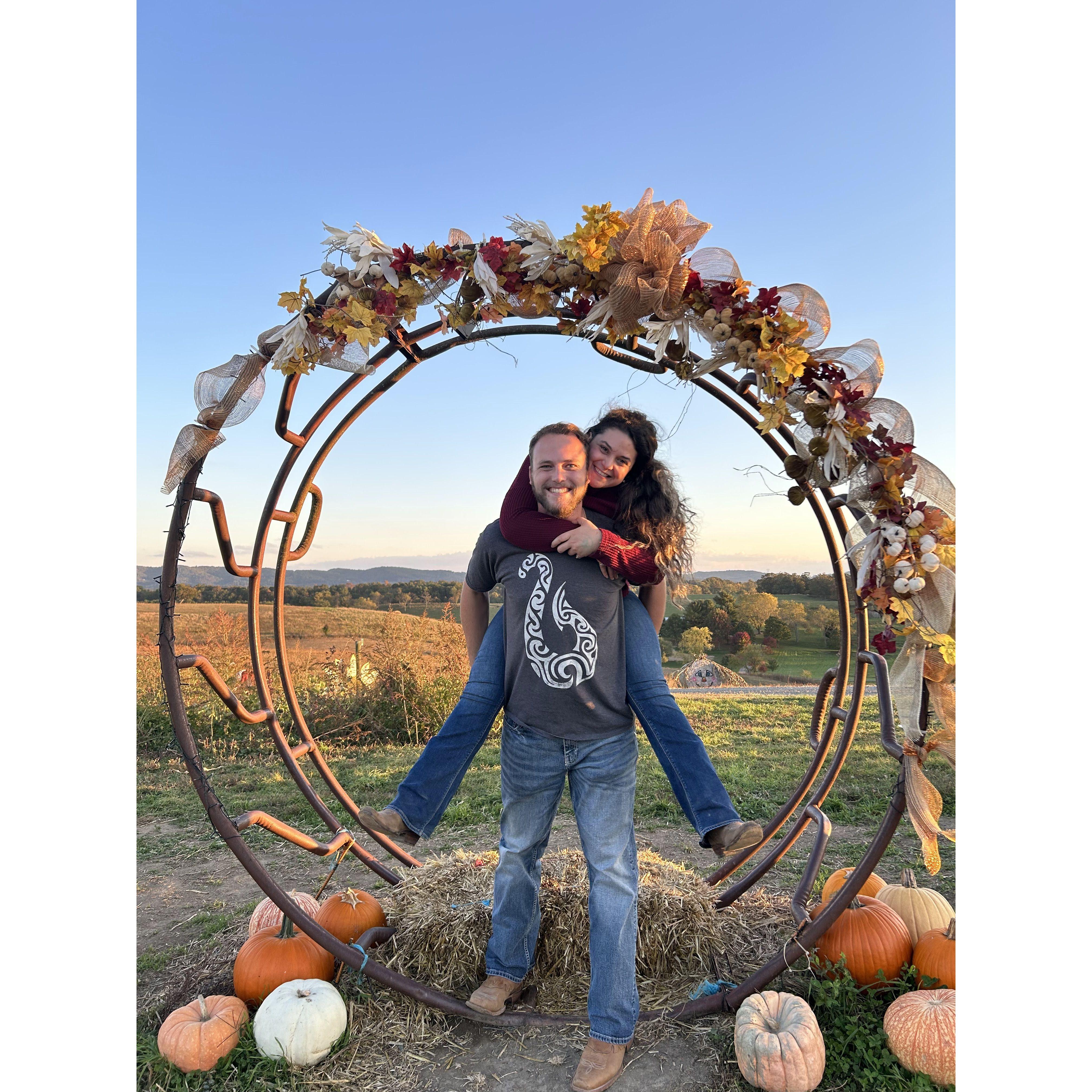 One of our annual Sinkland Farm pictures