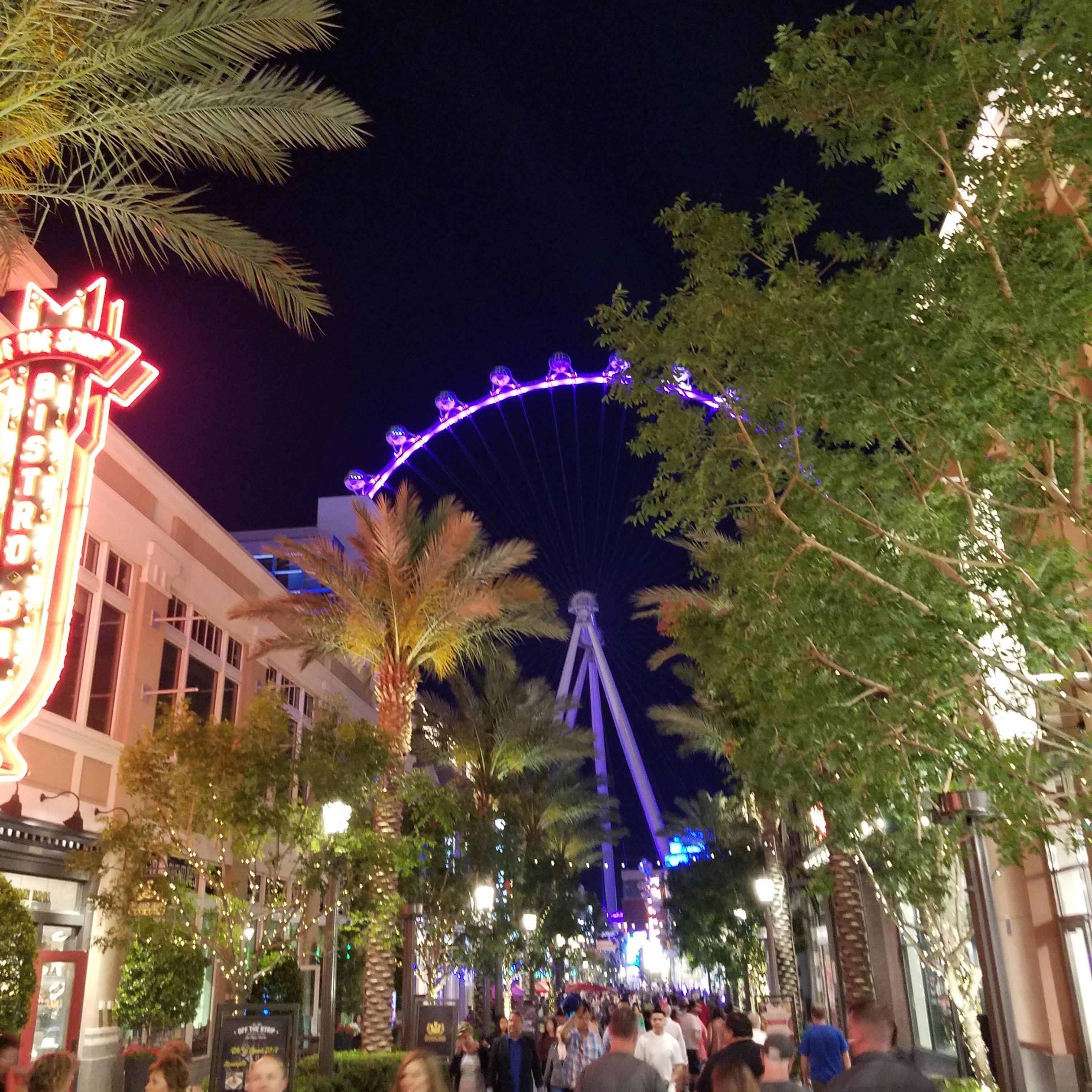 World's Largest ferris wheel
