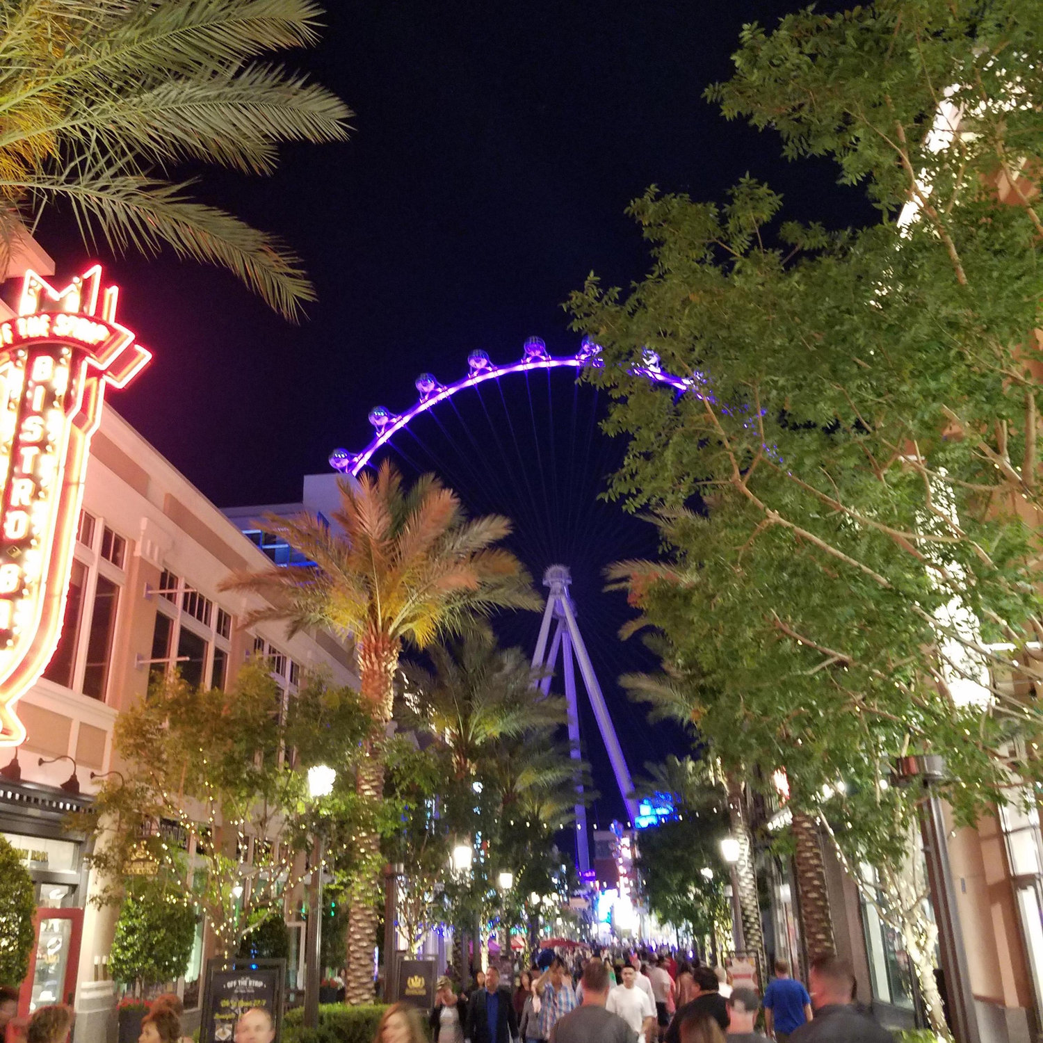 World's Largest ferris wheel