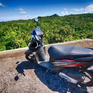 Bali Scooter Rental Fund