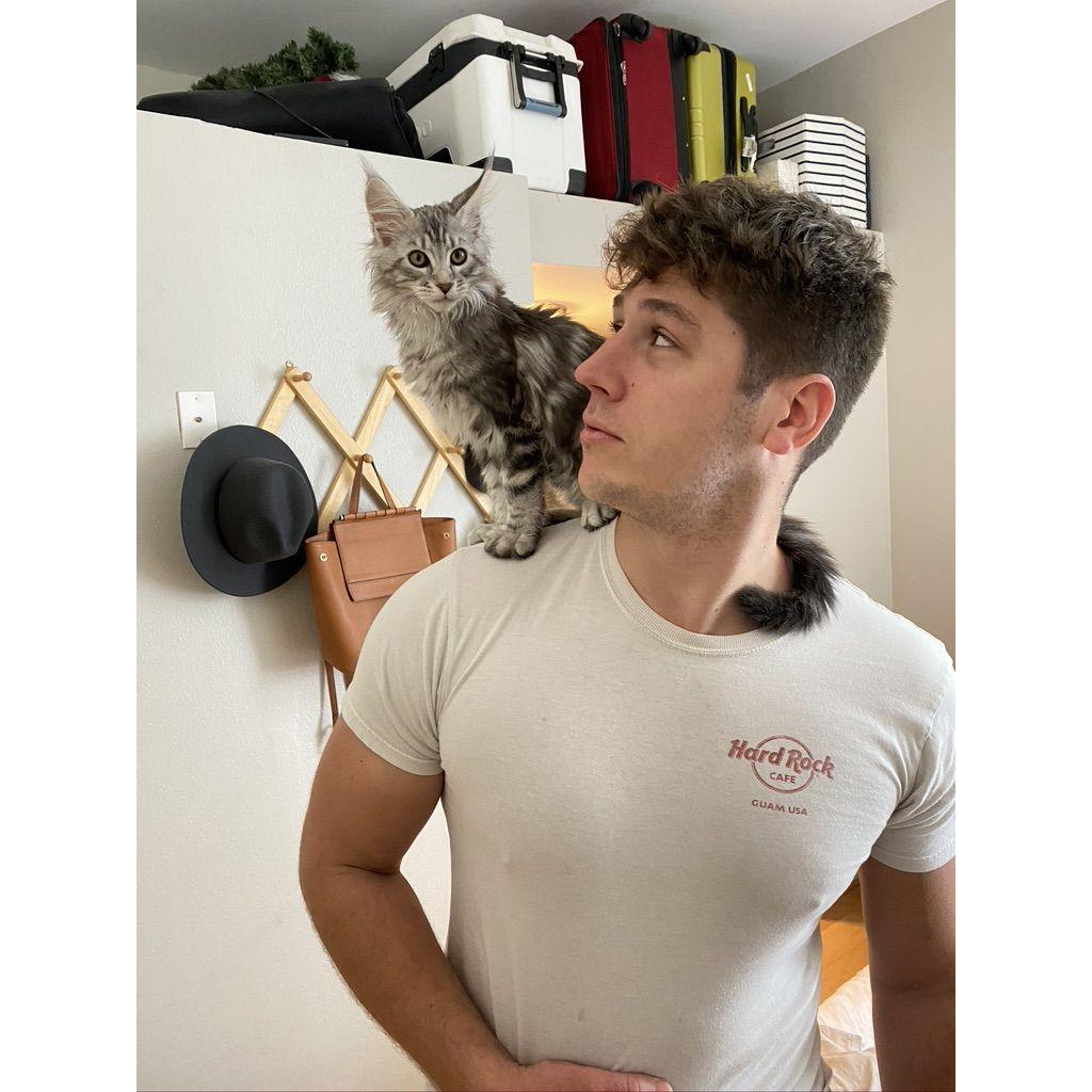 Back when Django was a shoulder kitty...