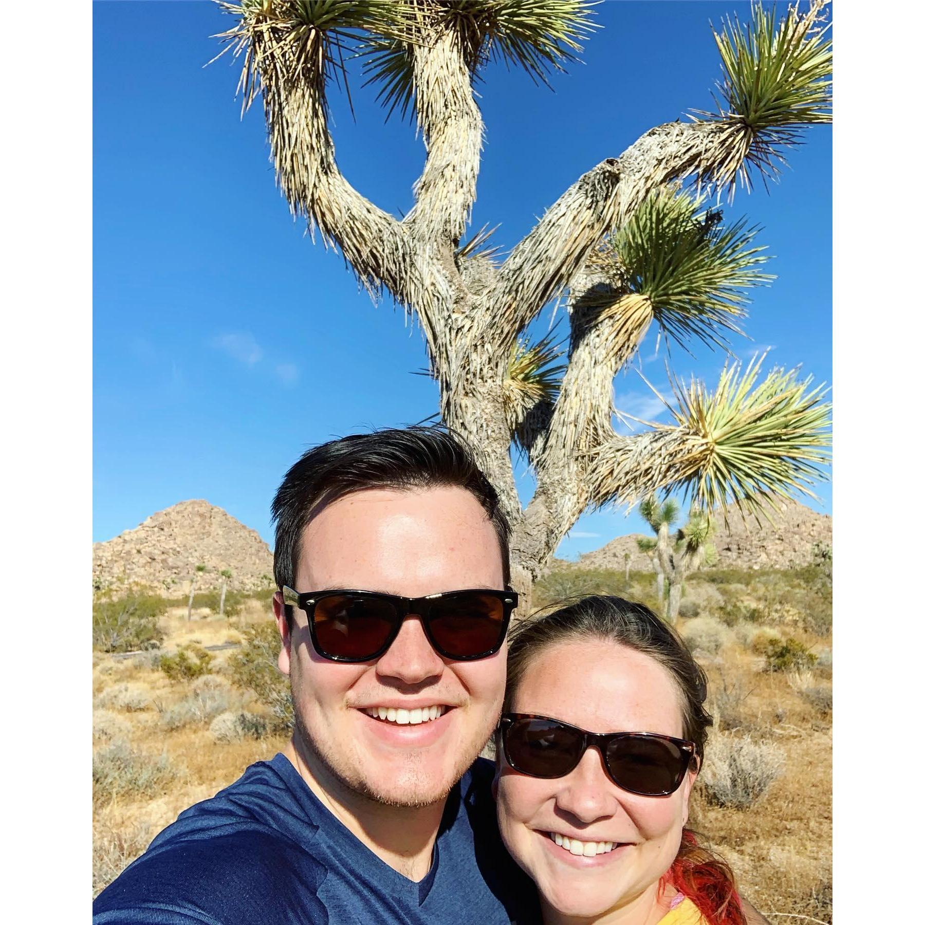 Joshua Tree 2019