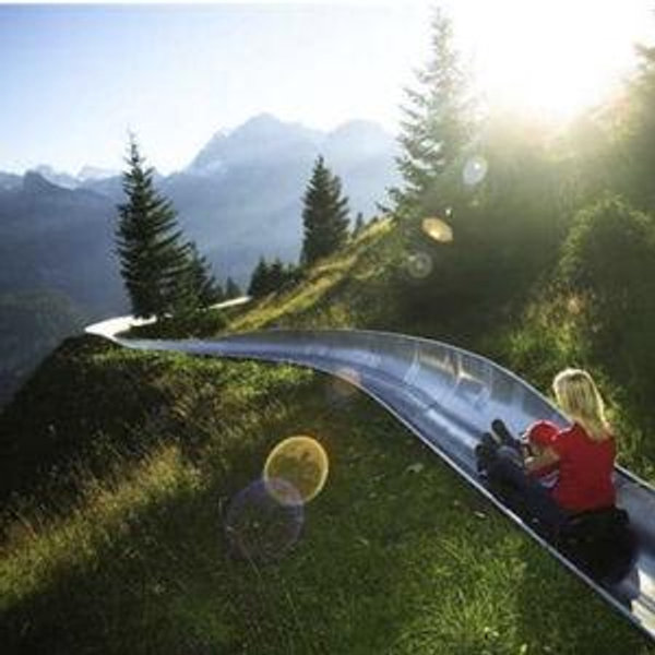 Mountain Coaster + Cable Car