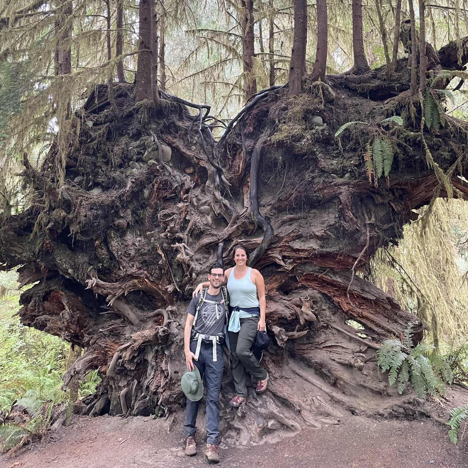 Olympic National Park (#5)