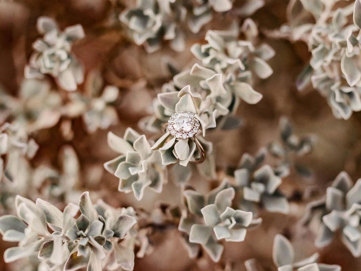 The Wedding Website of Amber King and Luis Chavez