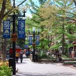 Pearl Street