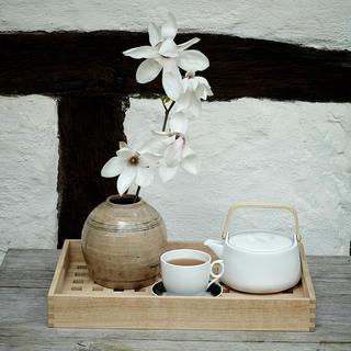 Nordic Teapot