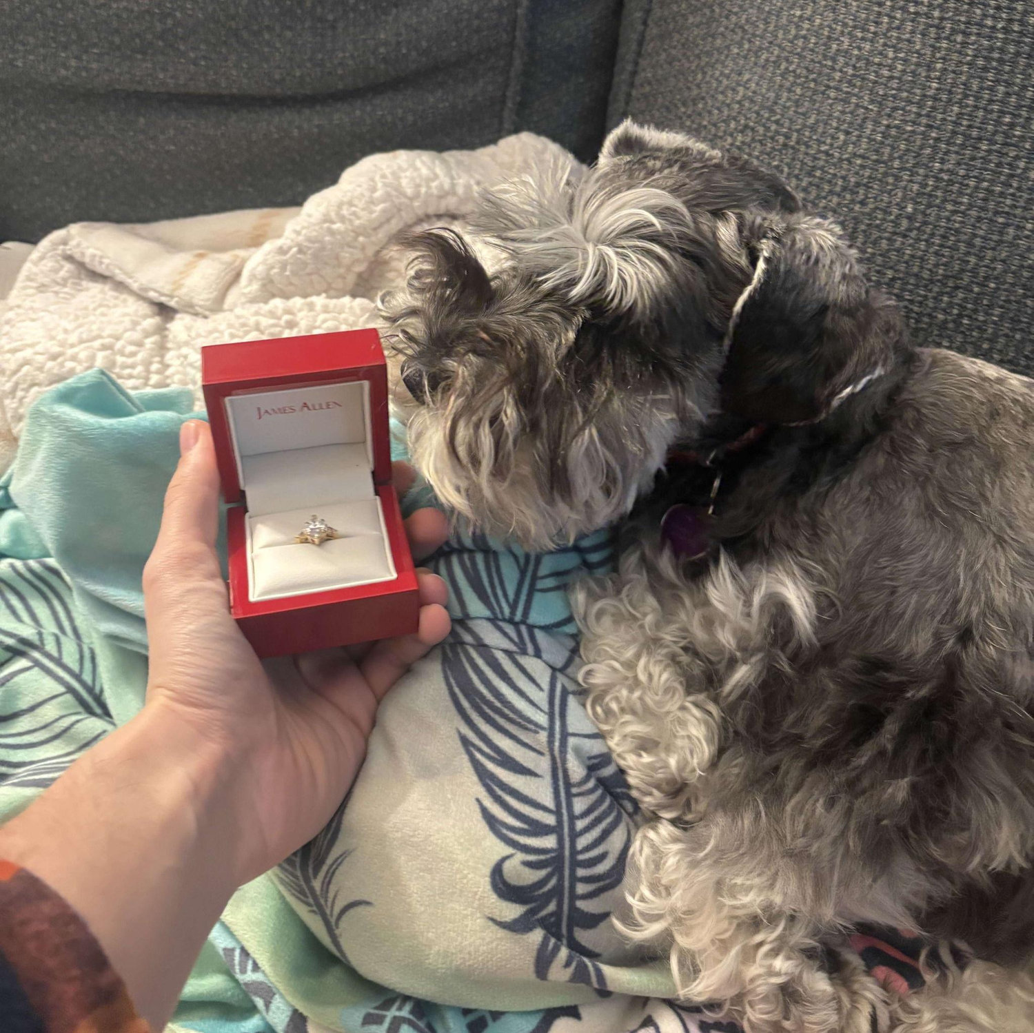 Mabel approved ring