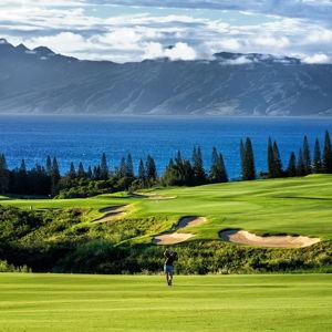 Golf at Kapalua Golf Course