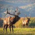 Elk Country Visitor Center