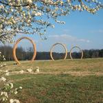 North Carolina Museum of Art