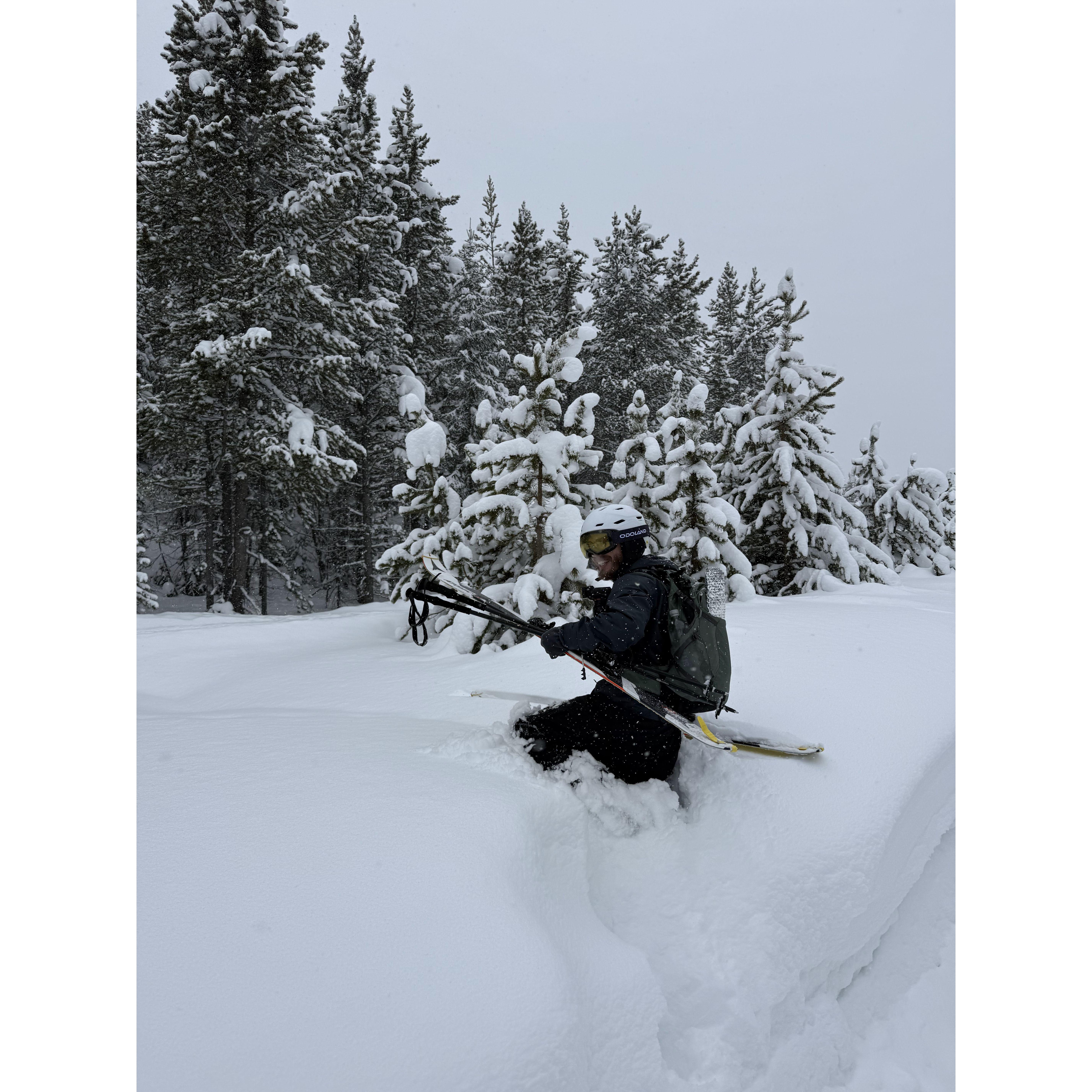 Feb 15: Oh my, this snow is deeper than I though.