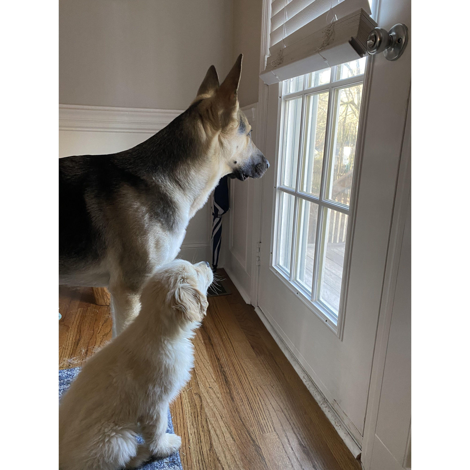 ...looking for trouble to get into.